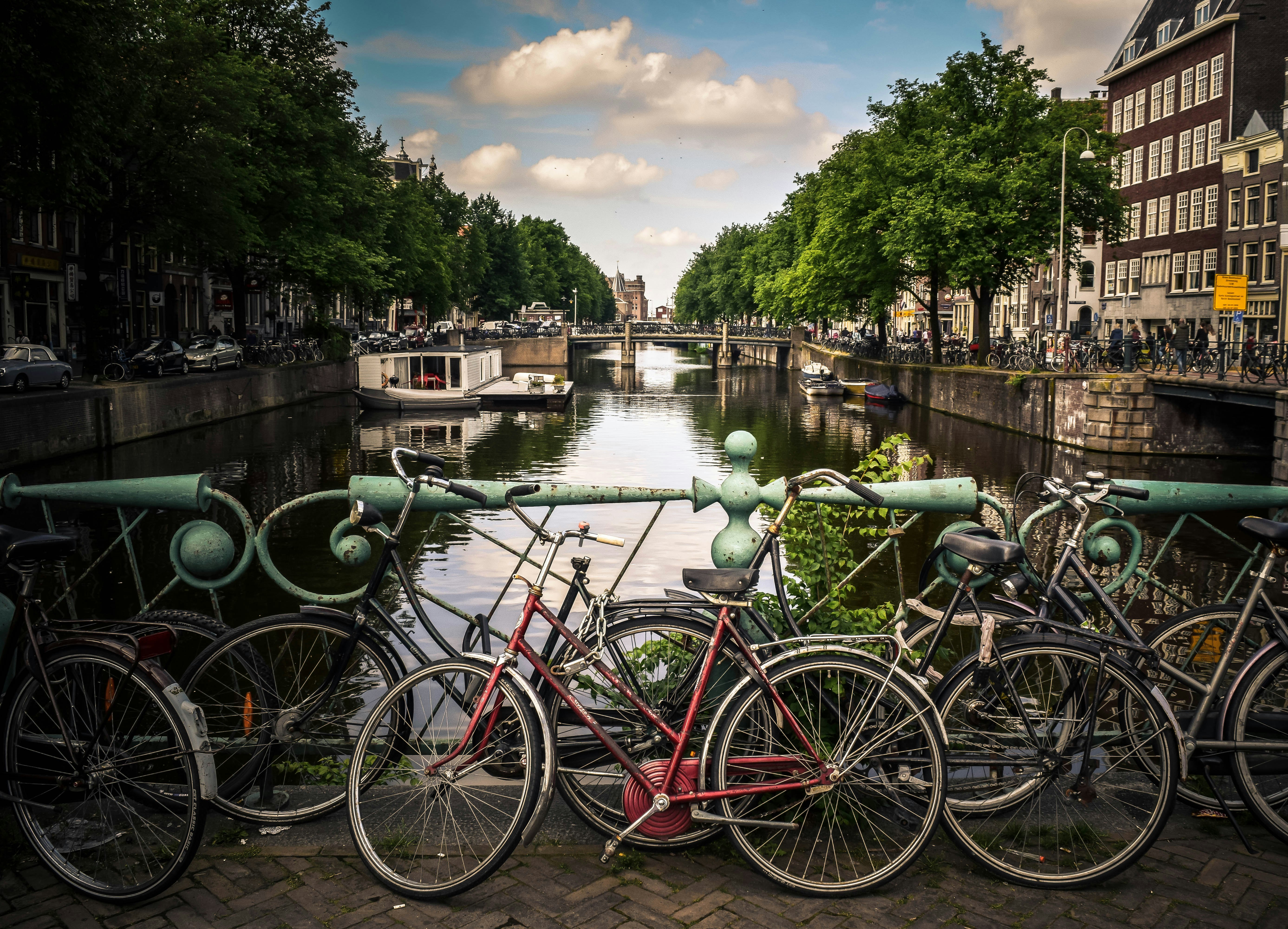 assorted-color bicycles park beside blue rails near river